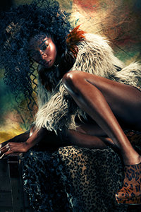 Leopard queen