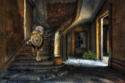 Lion Entrance - Fotokunst leeuw