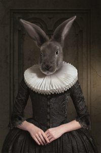 Rabbit - fotokunstwerk 