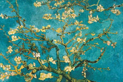 Fotokunst blossom van Gogh