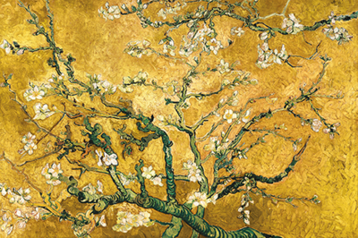 Fotokunst blossom van Gogh