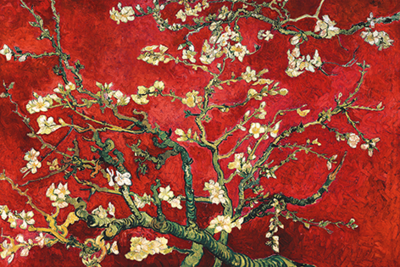 Fotokunst blossom van Gogh