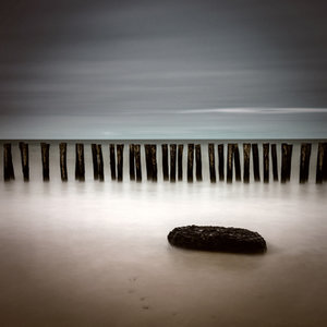 Wooden coastline