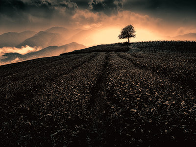 Sapa Vietnam meadow