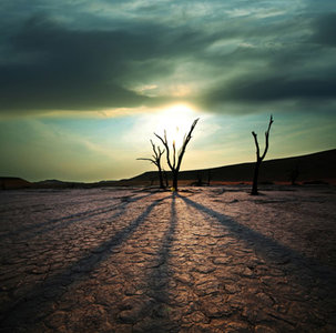 Dessert Landscape