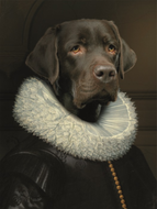 Fotokunst-Baron-the-Labrador