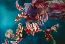 Transience-Horizontaal-Fotokunst