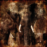 Fotokunst-olifant