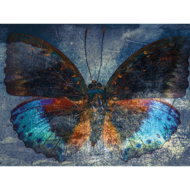 Fotokunst-vlinder