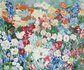 Bright Beauties - 120 x 100 - Bloemen schilderij_8