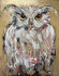 Shining - 120 x 150 cm - Schilderij uil_8
