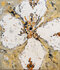 Stella Illuninata 120 x 140 cm Bloemen schilderij_8