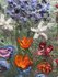 Where spirits bloom 160 x 75 cm - Schilderij Abstract_8