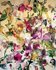 Pink Botanic - 150 x 185 cm - Schilderij abstract_8