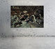 Wild Things - Fotokunst vrouwen _8
